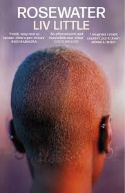 Catherine Little Jane and the Blue Willow Princess by Catherine Little,  Hardcover