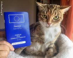 An eu pet passport ensures that your pet meets all the requirements for travel across eu borders. Pet Passports Registering Pets In France Wheeling It Tales From A Nomadic Life