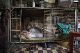 Caged Homes Hong Kong Google Search Home Cage Cubicle