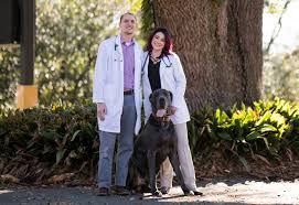 This isn't the first time florida has enacted a. Vet Pet Profiles Oakwood Animal Hospital Tallahassee Magazine