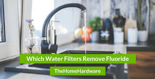 which water filters remove fluoride