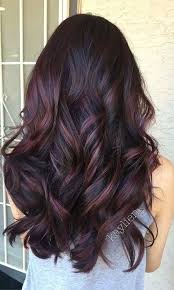 Hair Color Developer 30 Volume Hair Color Touch Up Dark Brown Hairtrends Hairclip Haircolor Plum Hair Hair Color Plum Ombre Hair Color For Brunettes