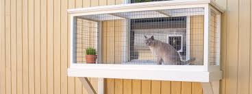 If your cat roams free, there are so many dangers out in the big wide. Catios Learn How To Keep Cats Happy And Safe Outdoors