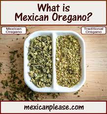 What Is Mexican Oregano Spice Mix Recipes Mexican Food Recipes Mexican Oregano Recipe