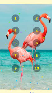 Flamingo Bird Sounds APK for Android Download