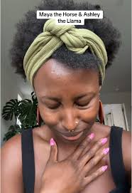 Ashley Llama Maya Horse