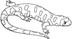 Includes images of baby animals, flowers, rain showers, and more. Giant Salamander Lizard Coloring Pages Download Print Online Coloring Pages For Free Color Nimbus
