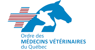 Diploma in Veterinary Medicine 