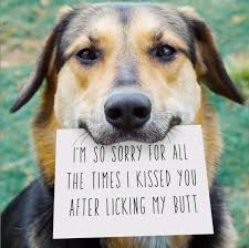 Check out our dog calming product selection for the very best in unique or custom, handmade pieces from our shops. Just 29 Really Cute Products Ok