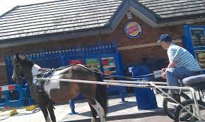 Only In Coolock Ordering At The Drive Thru Of Burger King Burger King Burger Horses