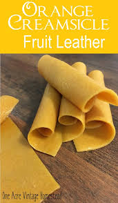 Orange Creamsicle Fruit Leather Vintage Mountain Homestead Recipe Dehydrator Recipes Fruit Leather Fruit Leather Recipe