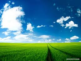 We did not find results for: 31 Wallpaper 1024x768 Hd On Wallpapersafari