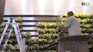 Breathe™ is a (patent pending) simple system for incorporating plants into dirtt walls. Lane Office Presents Breathe Living Walls Youtube