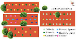 Hands-On Seed Starting & Fall Garden Planning