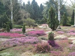 Trees and shrubs from all parts of the wor. Forstbotanischer Garten Koln Mapio Net