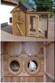 Pin On Chicken Coop Ideas I've had them since i was 14 and raising them has become part of my identity. pin on chicken coop ideas
