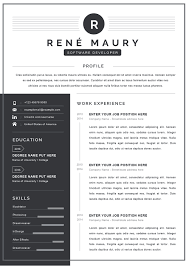Choose a resume design you like and click. Professional Resume Template For Microsoft Word