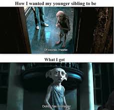 Pin On Harry Potter