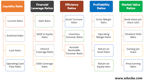 Importance Of Ratio Analysis Categories And Importance Of Ratio Analysis