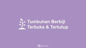 65 Contoh Tumbuhan Berbiji Terbuka Dan Tertutup Yuksinau Id