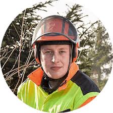 Daniel hernandez rembrücker straße 1 63150 heusenstamm. Garten Und Landschaftsbau Steve Schmidt Baumpflege