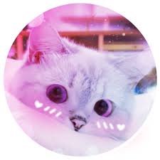 Find discord guides, tutorials, and helpful blogs. I Saw A Very Cute Cat And Made This Mademesmile