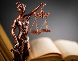 Image result for Justicia incana