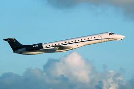 Image result for White 1998 Colter Aviation