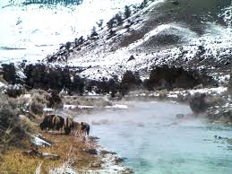 For campers and rv enthusiasts, hot springs has plenty of sites to park it for the night, the weekend or even the entire season. 15 Best Montana Hot Springs Travel Montana Now