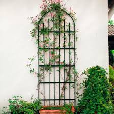 Rankgitter Parc Floral Online Kaufen Bei Gartner Potschke Rankgitter Kletterpflanzen Clematis