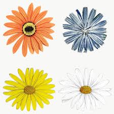 Black And White Daisy Transparent Background Flower Clipart Download Premium Png Of Blooming Colorful Flower Mixed Set Transparent Png In 2020 Flower Illustration Colorful Flowers Flowers