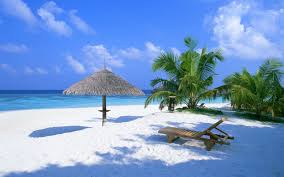 Free download hd wallpaper for android mobile phones. Download Free Wallpapers For Mobile Phones Many Mobile Pictures And Screensavers