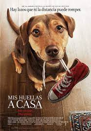 Peliculask4 Mis Huellas A Casa Peliculas De Drama Ver Peliculas Ver Peliculas Gratis