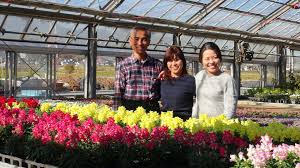 Experience the real taste of fresh fruit with our edible fruit bouquets. Family Run Edible Flower Farm Adds Color To The Culinary Arts In Japan