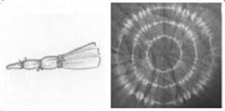 Inilah kunci jawaban buku tematik tema 9 kelas 5 sd subtema 3 pembelajaran 5 halaman 162, 163, 164, 165, 166, 167, 168, 169, 170, 171, dan 172 Kunci Jawaban Tema 9 Kelas 5 Sd Halaman 164 165 166 167 168 169 170 171 Subtema 3 Buku Tematik Siswa Sd Materi Batik Jumputan Topiktrend