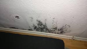 Schimmel in der wohnung ist nicht nur unangenehm und unschön, sondern auch gesundheitsgefährdend. Wohnung Ohne Heizung Nun Schimmel Mietrecht Vermieter