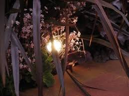 Landscape Lighting Design Using Low Voltage Garden Lighting In The Landscape