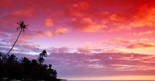 Ha Atafu Beach Resort Tonga Beach Resorts Resort Nature Photos