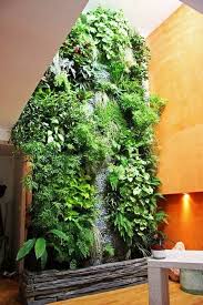 Tumpuk beberapa tanaman seperti succulents, lipstick planst, dracaena, atau mungkin beberapa pakis di. 20 Ide Taman Minimalis Unik Modern Blog Ruparupa