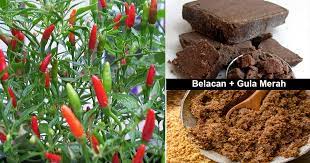 Tabur baja di keliling pokok dengan kadar satu sudu besar atau 10 gram sepokok setiap dua minggu. Cara Buat Air Penggalak Untuk Pokok Cili Yang Ditanam Berbuah Lebat Dan Tahan Penyakit Vanilla Kismis