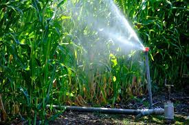 Why Do My Sprinklers Have Low Water Pressure Andy S Sprinkler