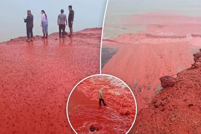 Freaky 'blood rain' phenomenon turns tides and beach red: 'Truly unique'