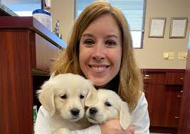Find reviews, ratings, directions, business hours, contact information and book online appointment. Animal Hospital Of Howard Green Bay Veterinarians