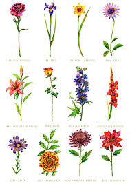 Maybe you would like to learn more about one of these? Birth Flowers On Behance Birth Flowers Birth Flower Tattoos Birth Month Flower