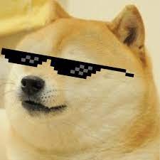 The doge cluster astronomy post by johnscena on deviantart. 1080 X 1080 Doge This Doge Taco 25 Adorable Dogs Dressed Like Tacos Popsugar Latina