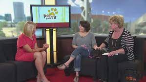 All adopted animals may be returned for illness or behavior problems within fourteen (14) days of the adoption. Pet Pals Mega Adoption At Indiana State Fairgrounds Wish Tv Indianapolis News Indiana Weather Indiana Traffic