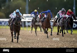 CALLUM RODRÍGUEZ, JOCKEY, 2021 Fotografía de stock - Alamy