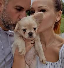 Introduction of new baby girl Fergie in Happy Pitties