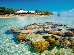 Gladstone capital partners with management teams, entrepreneurs and private equity sponsors to provide financing solutions for lower middle market companies nationwide. Gladstone Region Queensland Australia S Guide