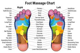 Free Downloadable Foot Massage Chart For Self Healing